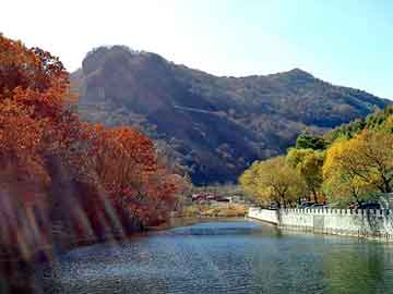 警惕網(wǎng)絡(luò)犯罪風(fēng)險(xiǎn)，切勿涉足非法賭博活動(dòng)，警惕網(wǎng)絡(luò)犯罪風(fēng)險(xiǎn)，遠(yuǎn)離非法賭博活動(dòng)陷阱