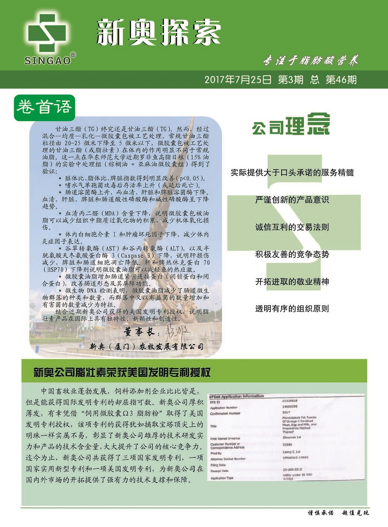 探索新奧精準(zhǔn)資料免費(fèi)大全，深度解析與實(shí)用指南（第078期），新奧精準(zhǔn)資料深度解析與實(shí)用指南（第078期）——免費(fèi)探索大全