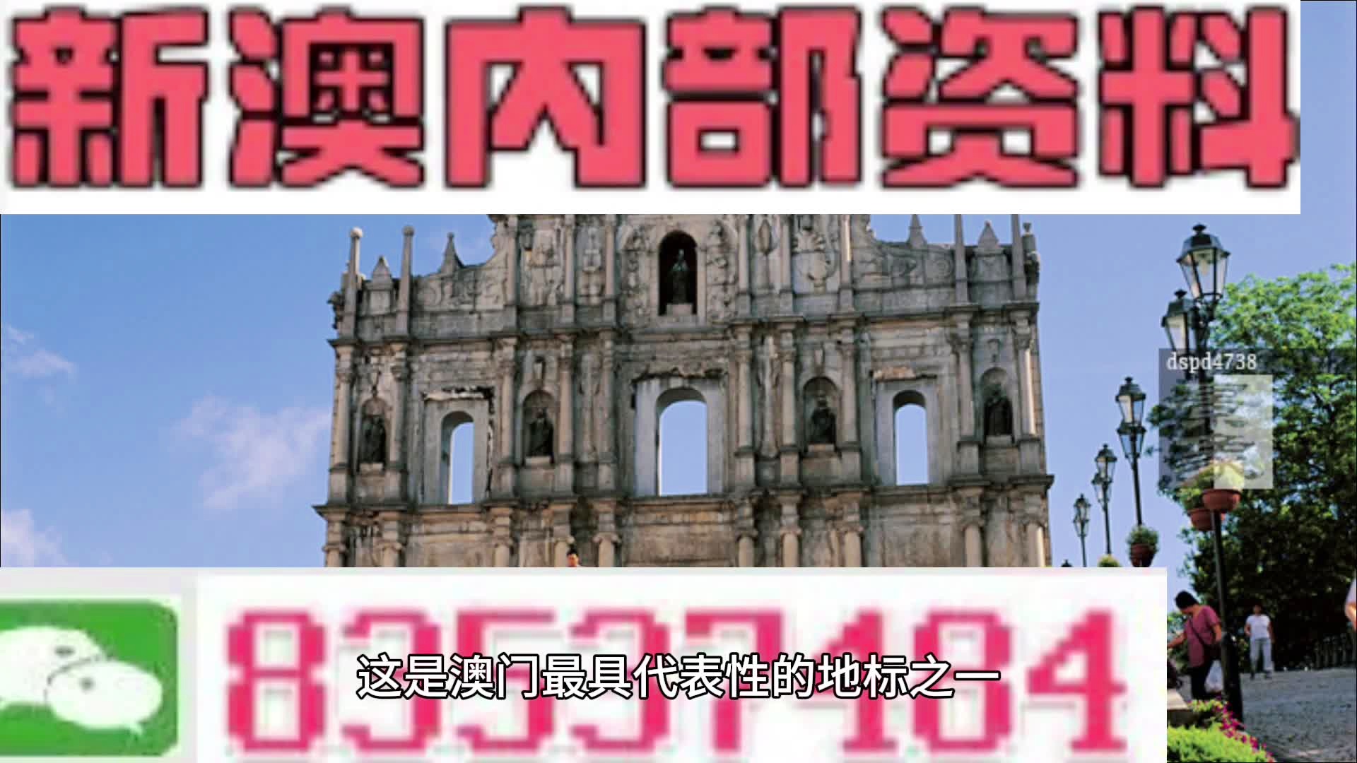 新澳新澳門正版資料，探索背后的真相與違法犯罪問題，新澳新澳門正版資料背后的真相與違法犯罪問題探索